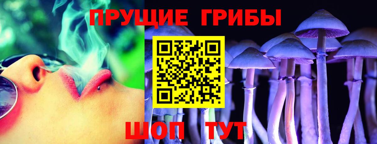 Заводоуковск  Псилоцибиновые грибы мицелий  Вход с VPN 